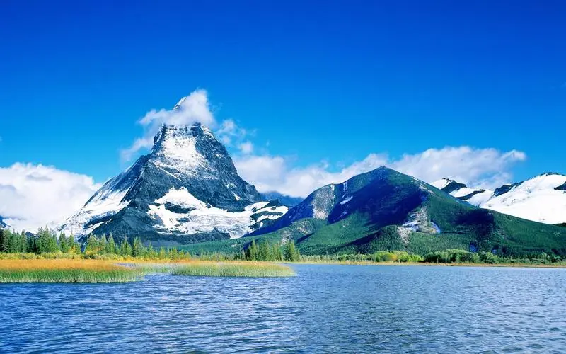 电子全自动